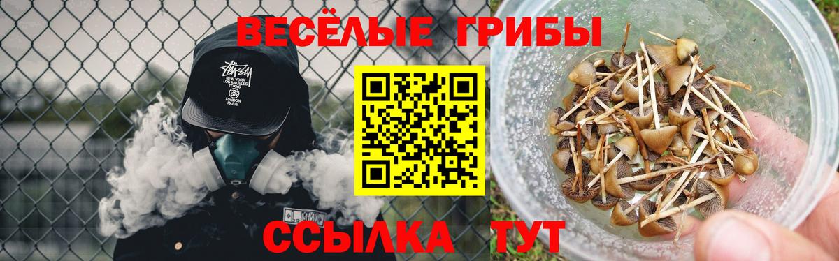 Псилоцибиновые грибы MAGIC MUSHROOMS  Вход с VPN  Янаул 