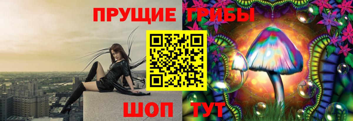 Псилоцибиновые грибы GOLDEN TEACHER Янаул